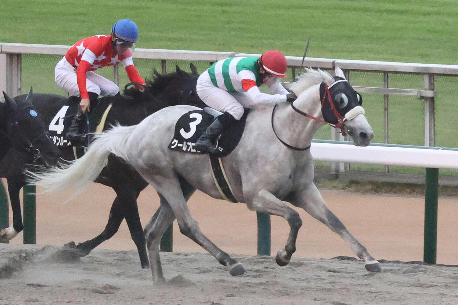 日刊スポーツDB班が選ぶ土曜午後から買いたい馬ベスト3